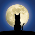 Mooncat Bluerose